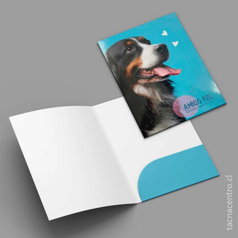 producto carpetas sectorizadas y bolsillo unico para veterinaria