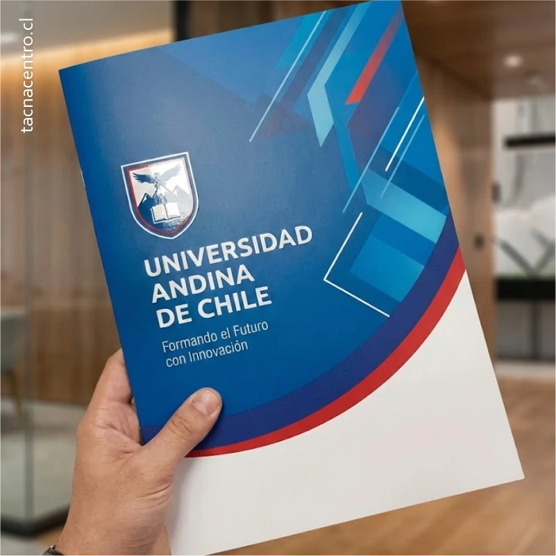 que son las carpetas sectorizadas personalizadas