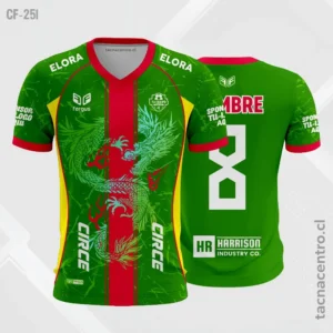 Camiseta de Futbol Dragon verde