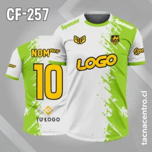 Camiseta de Futbol Bitono blanco verde