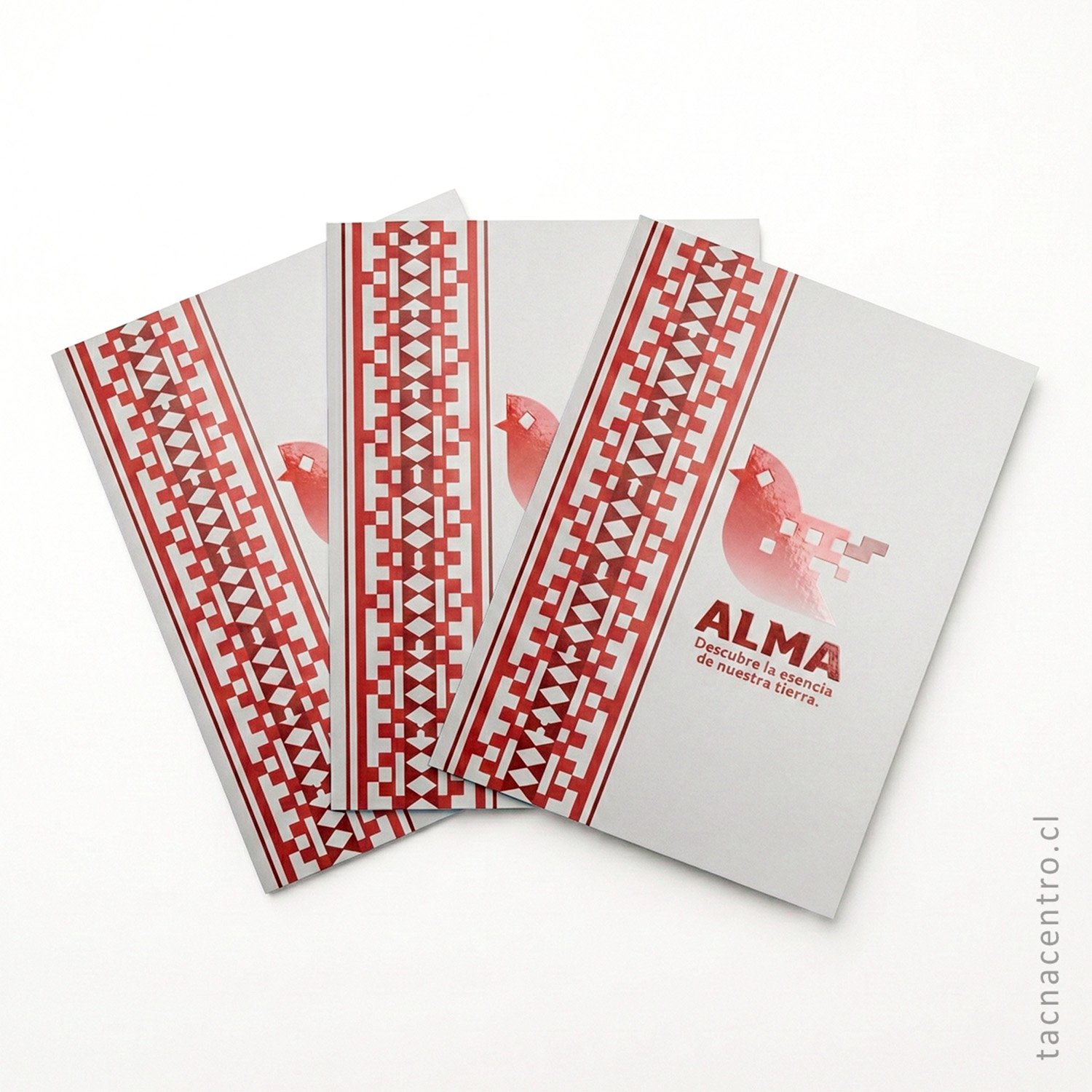 fotos de carpetas sectorizadas para empresa agricola en chile