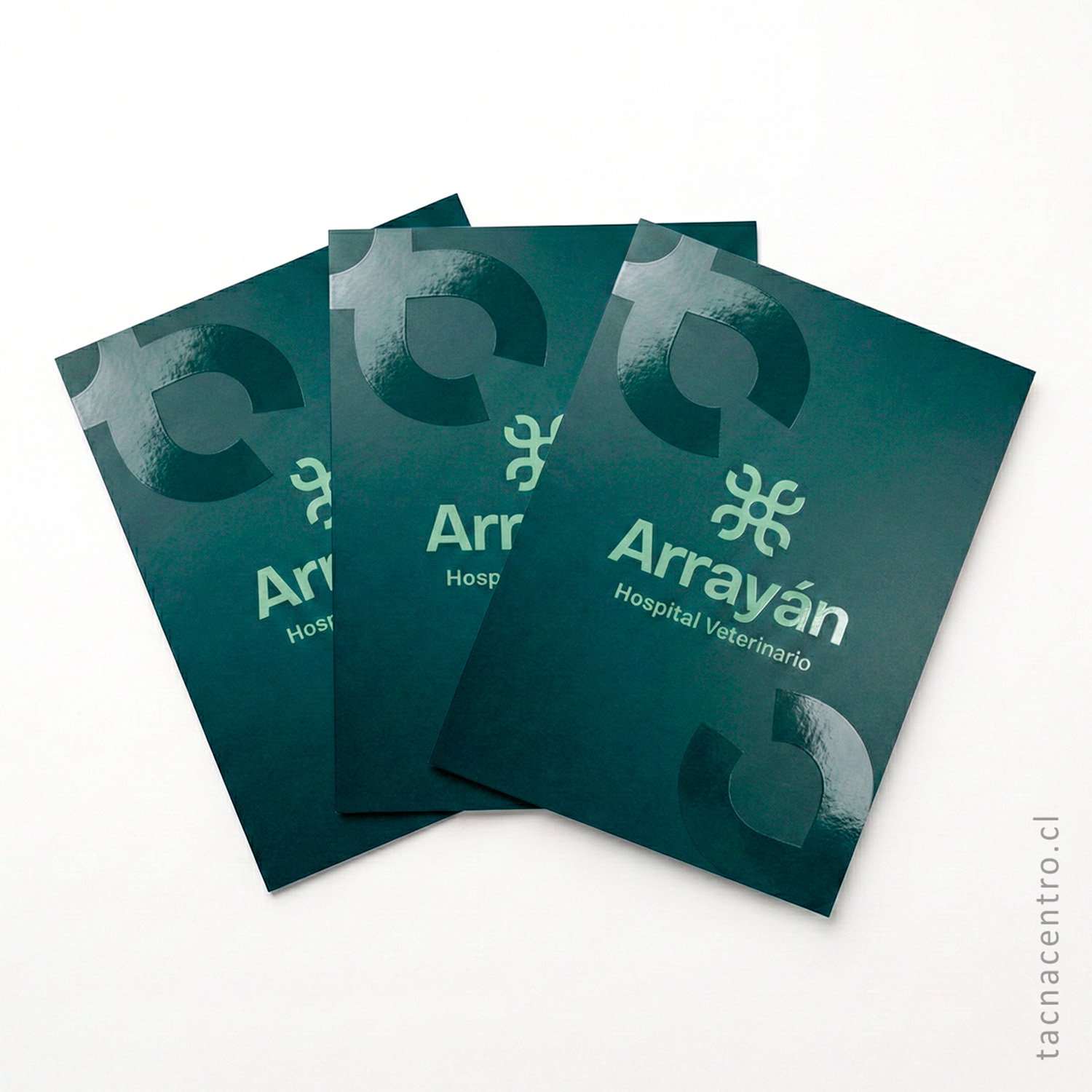 fotos de carpetas sectorizadas para hospital veterinario en chile