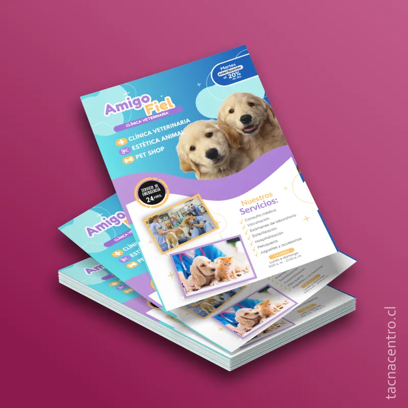 portada flyers publicitarios rosado oscuro 2026 Impresión de Volantes | Flyers Publicitarios