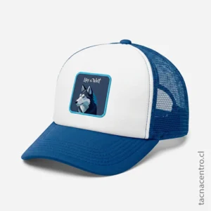Gorras Trucker Modelo Goorin Bros Color Azul en Chile